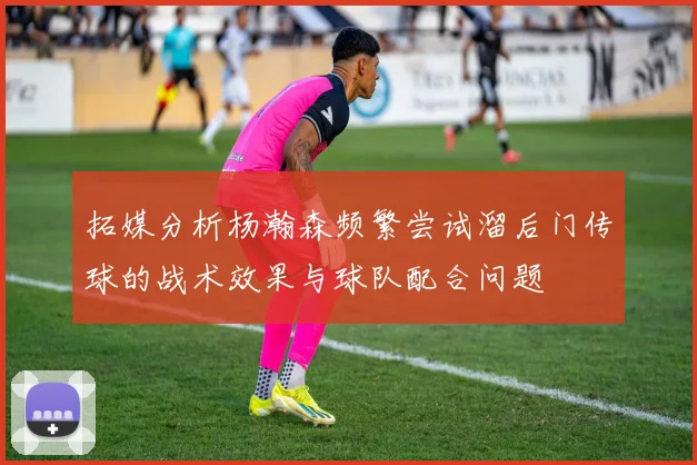 拓媒分析杨瀚森频繁尝试溜后门传球的战术效果与球队配合问题